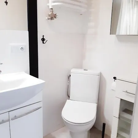 Loftowe Studio Pod Muralem Apartment