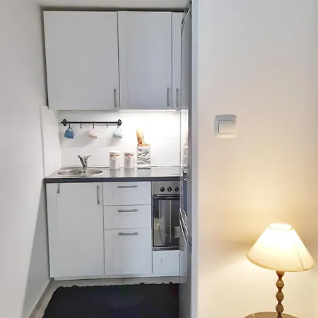 Loftowe Studio Pod Muralem Apartment