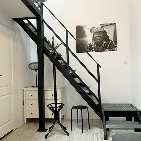 Loftowe Studio Pod Muralem Apartment Lodz