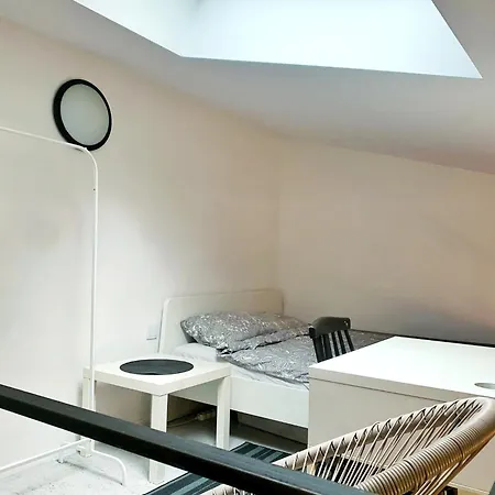 Loftowe Studio Pod Muralem Apartment *