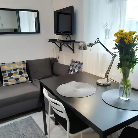 Loftowe Studio Pod Muralem Apartment Lodz