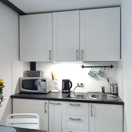 Loftowe Studio Pod Muralem Apartment *